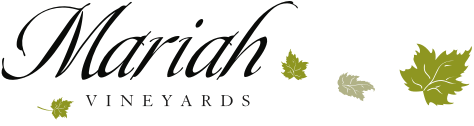 Mariah Vineyards Logo